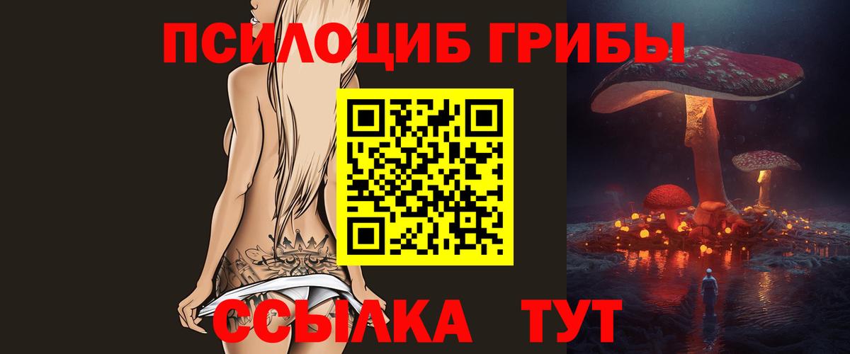 Первоуральск  Галлюциногенные грибы прущие грибы  Вход с VPN 
